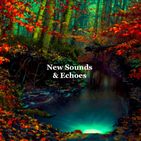 New Sounds and Echoes | Boomplay Music