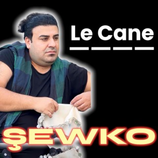 Le Cane Sewko