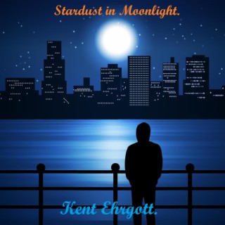 Stardust in Moonlight