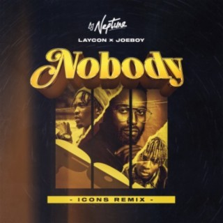 Nobody (Icons Remix)