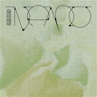NEMO ft. Polo Rakun lyrics | Boomplay Music