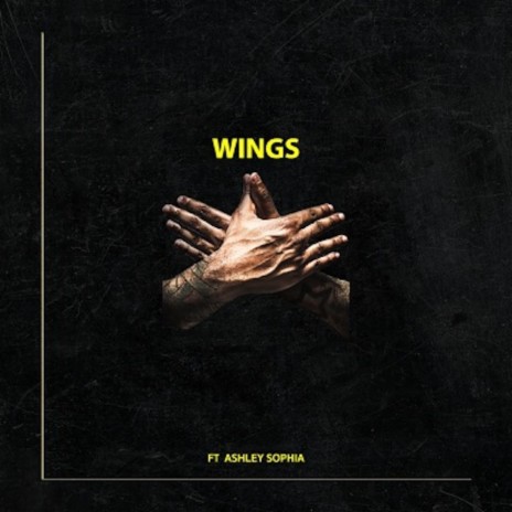 Wings ft. Ashley Sophia | Boomplay Music