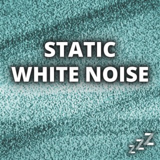 Static White Noise (Loopable, No Fade)