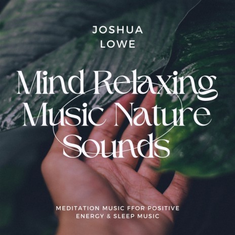 Tranquil Meditation Music ft. Meditation & Stress Relief Therapy & Relaxation Sleep Meditation