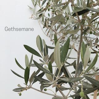 Gethsemane