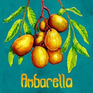 Ambarella