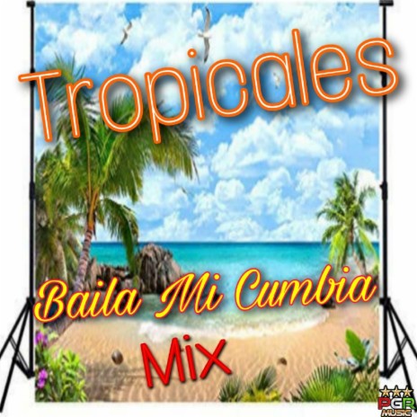 Cumbia De Los Pajaritos | Boomplay Music