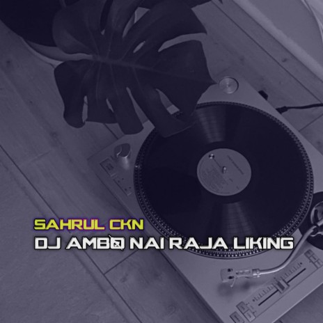 DJ Ambo Nai Raja Liking | Boomplay Music