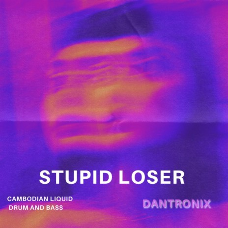 Stupid loser (Radio Edit)