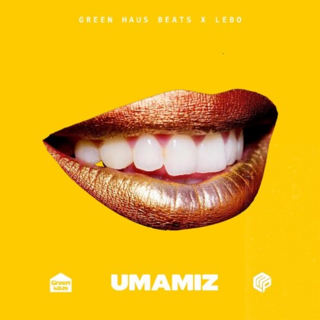uMamiz ft. Lebo Mathopa | Boomplay Music