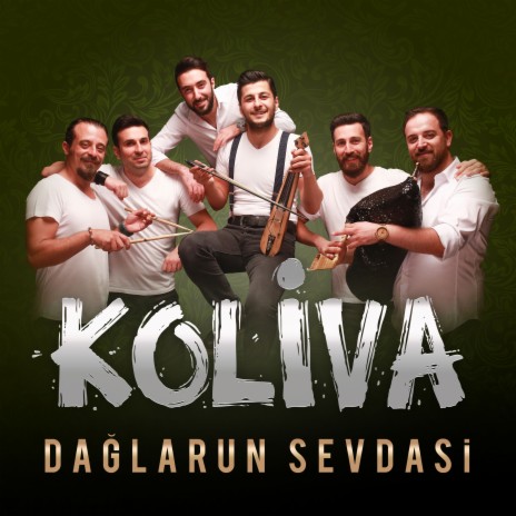 Dağlarun Sevdasi (Akustik) | Boomplay Music