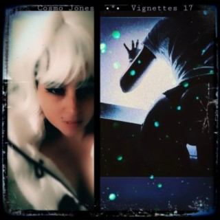 Vignettes 17