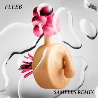 FLEEB (Samples Remix)