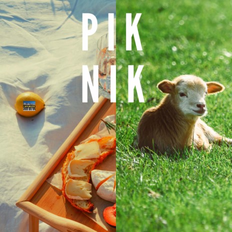 PIKNIK