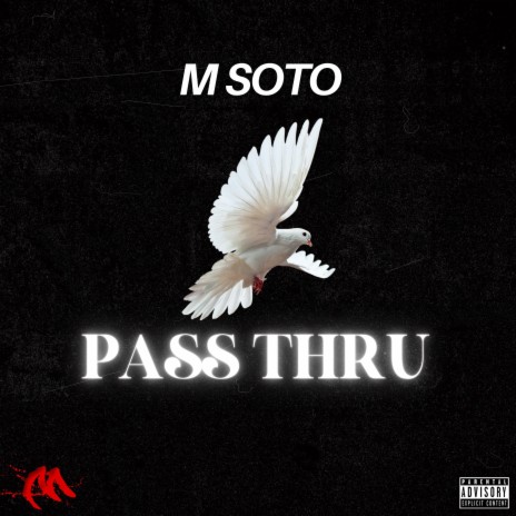 Pass Thru | Boomplay Music