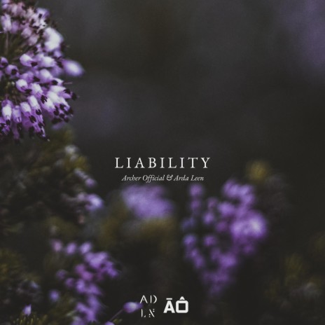 Liability ft. Archer Official | Boomplay Music