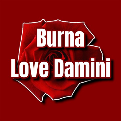 Burna Love Damini | Boomplay Music