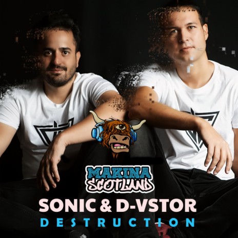 Destruction (Radio Mix) ft. D-Vstor | Boomplay Music