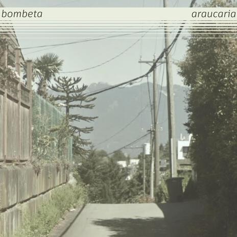 Araucaria | Boomplay Music