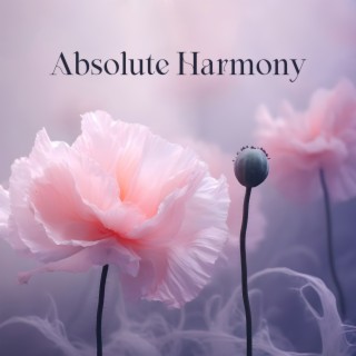 Absolute Harmony: Find Time for Reflections, Rebuild Your Your Inner Force, Stay Composed