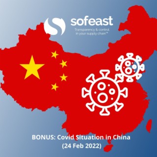 BONUS: Covid Situation in China (24 Feb 2022)