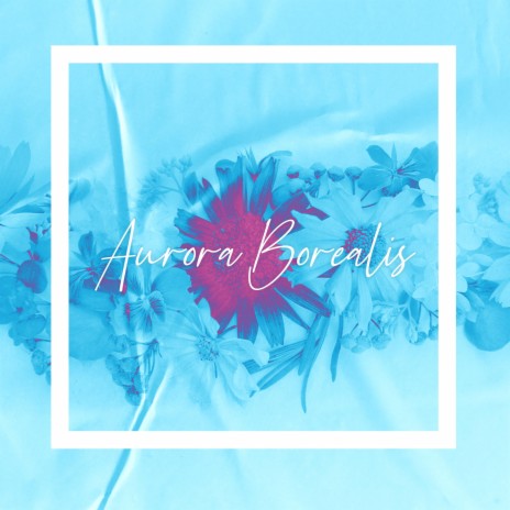 Aurora Borealis ft. Floating Animal | Boomplay Music