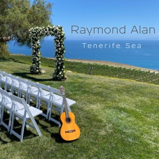 Raymond Alan Guitarist