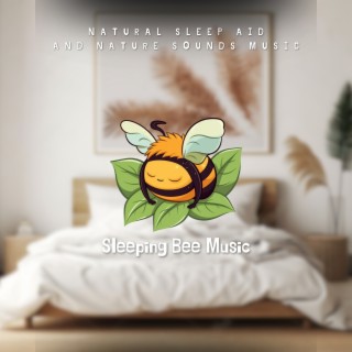 Natural Sleep Aid and Nature Sounds Music