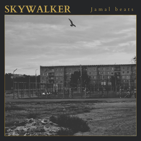 Skywalker | Boomplay Music