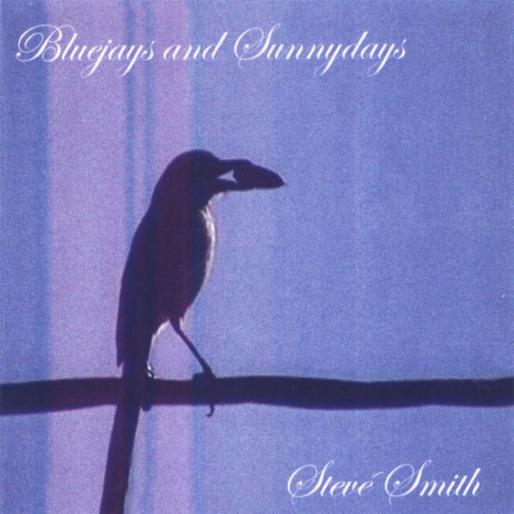 Bluejays and Sunnydays | Boomplay Music