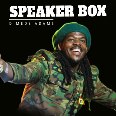 Speaker Box