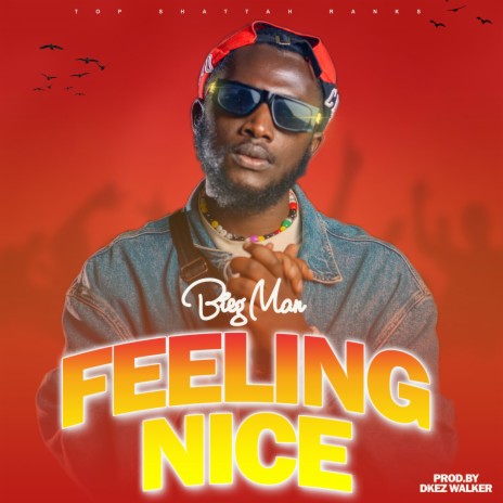 Feeling Nice | Boomplay Music