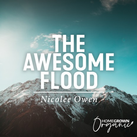 The Awesome Flood | Boomplay Music
