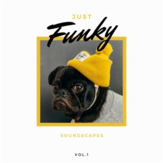 Just Funky Soundscapes, Vol.1