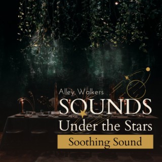 Sounds Under the Stars - Soothing Sound