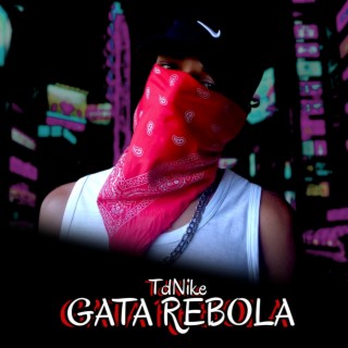 Gata Rebola