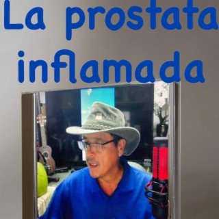 La prostata inflamada