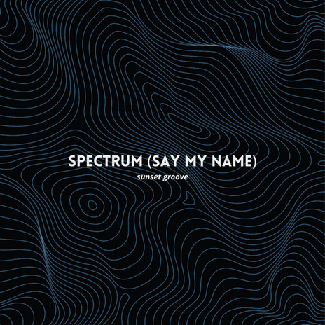 Spectrum (Say My Name) | Boomplay Music