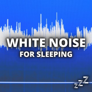 Loopable Static White Noise