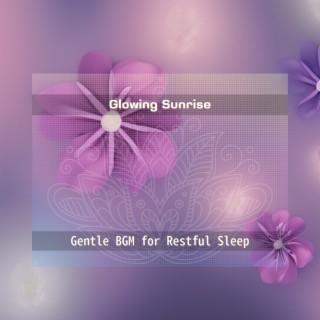 Gentle BGM for Restful Sleep