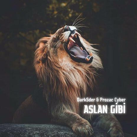 Aslan Gibi ft. DarkSder | Boomplay Music