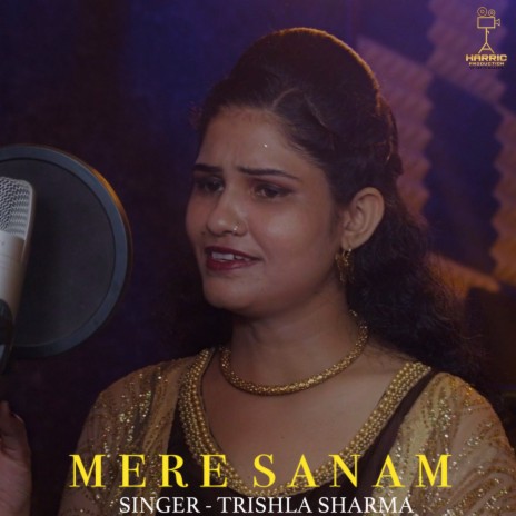 Mere Sanam (Hindi) | Boomplay Music