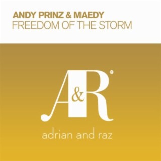 Andy Prinz