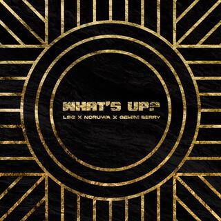 What's Up ft. Noruwa & GeminiBerry lyrics | Boomplay Music