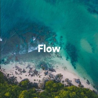 Flow