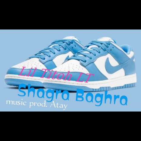 Shagra Baghra | Boomplay Music