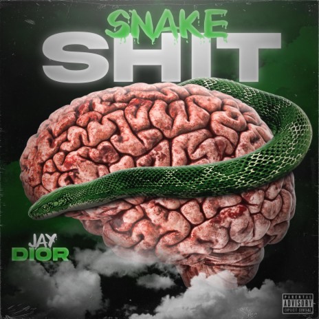 Snake Shit | Boomplay Music