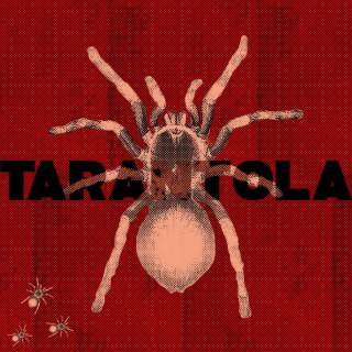 TARANTOLA ft. Indako lyrics | Boomplay Music