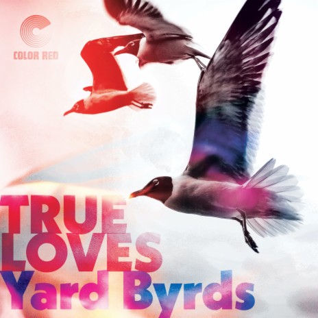 Yard Byrds | Boomplay Music