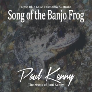 Song of the Banjo Frog